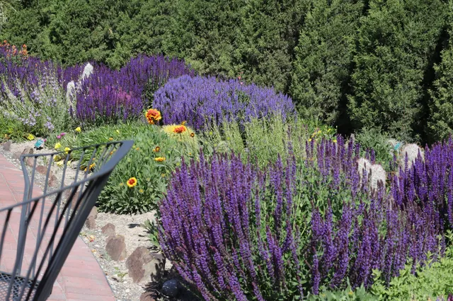 Orton Botanical Garden