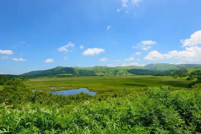 Yashimagahara Wetland