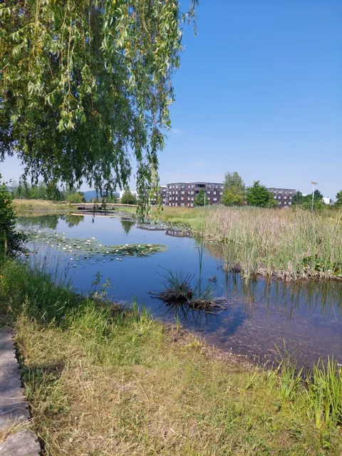 Volketswil Griespark