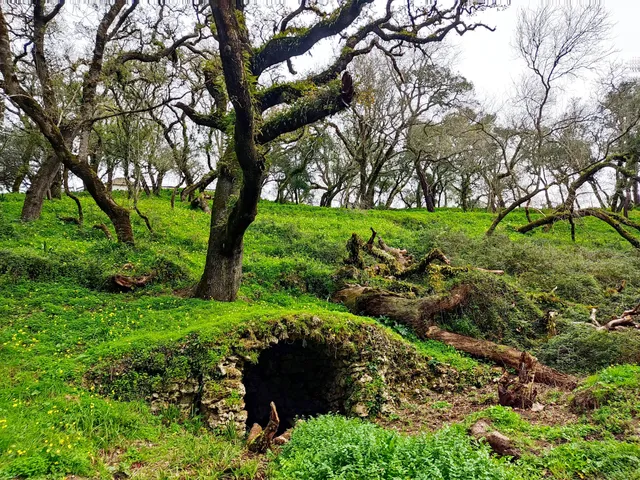 Serra da Carregueira Forest Park