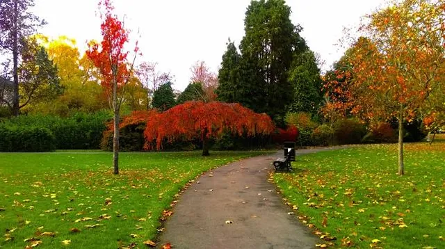 Henrietta Park