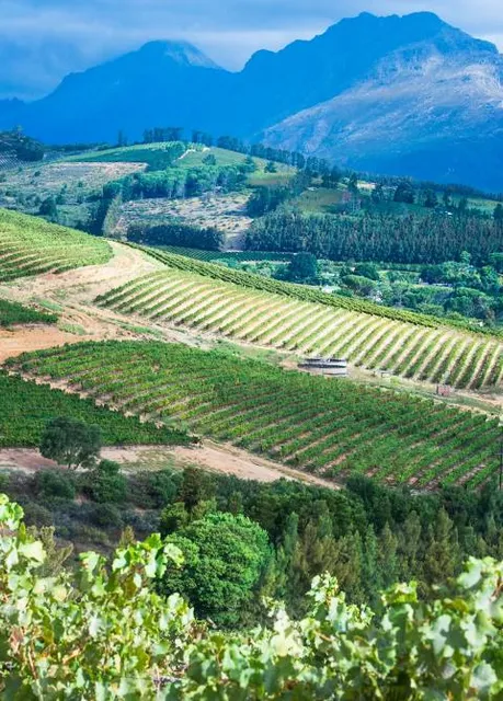 Remhoogte Wine Estate