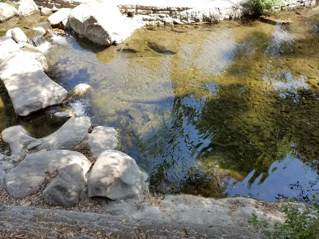 photo-2