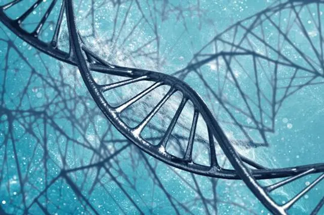 Aleksander Majkowski City Park