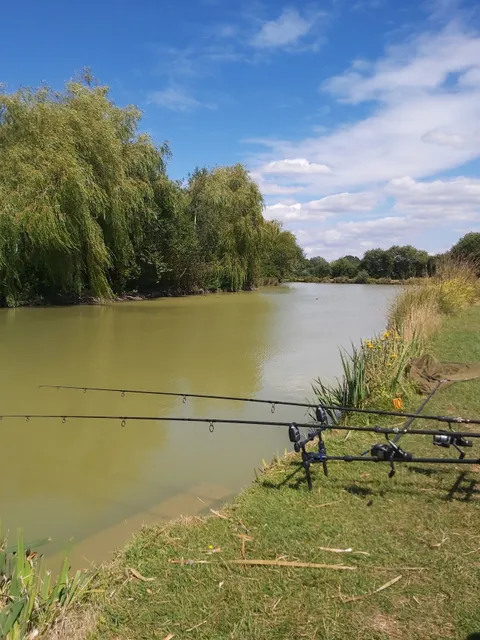 Shirkoak Farm - Fishery & Bed & Breakfast