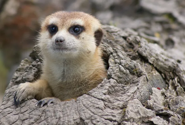 Erlebniswelt Seeteufel