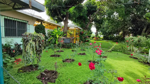 Monseñor Romero Center