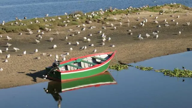 Harris Riverfront Park