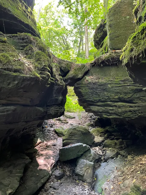 Fern Dell Gorge