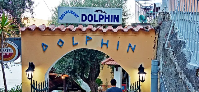 Dolphin
