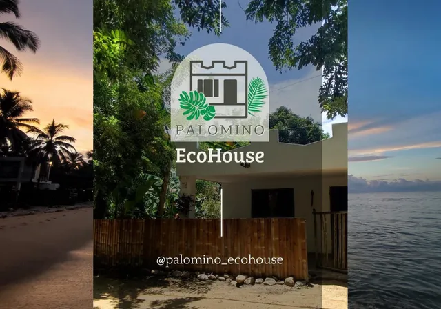 Hostal Palomino EcoHouse & Camping