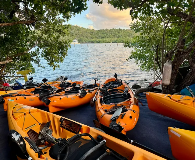Virgin Kayak Tours