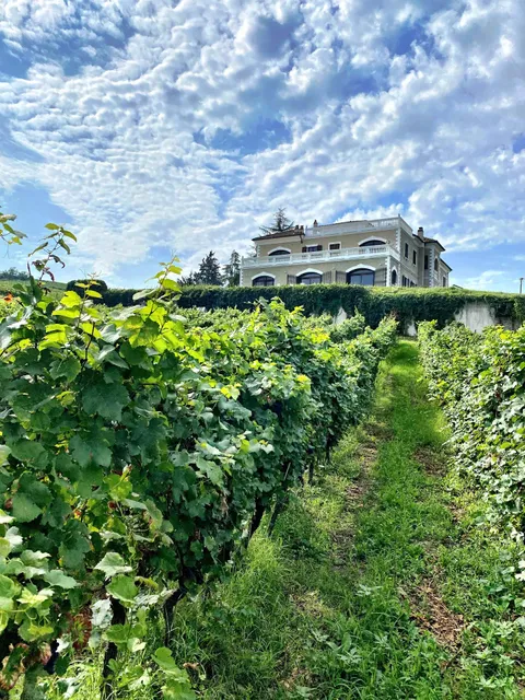 De Chloé S.S.Agr. - Villa Chloé