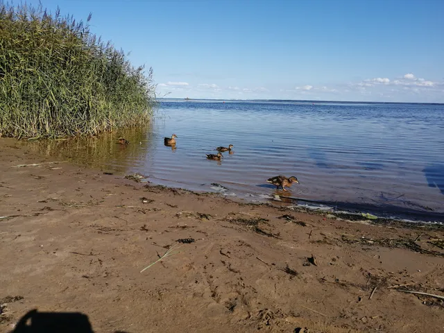 Pgt Im. Morozova, Plyazh.