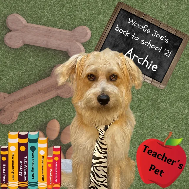 Wooferties Pet Resort LLC