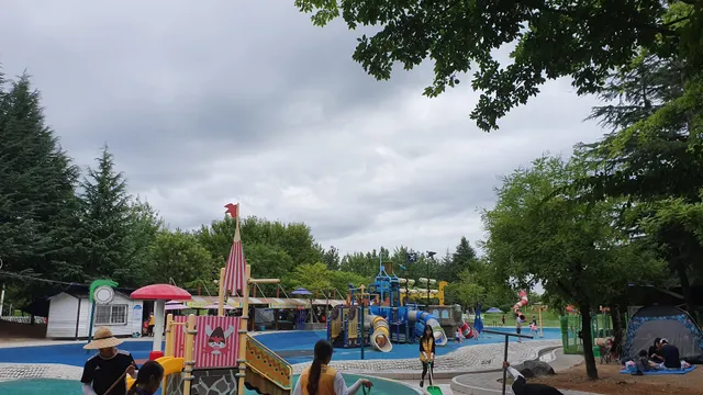 Children Water Park