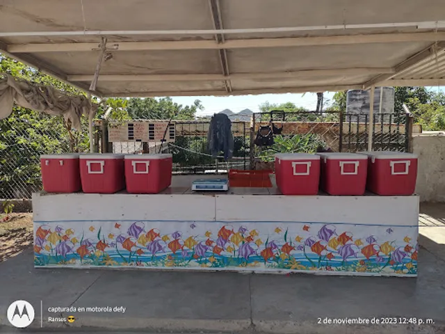 Pescados Y Mariscos La Güera