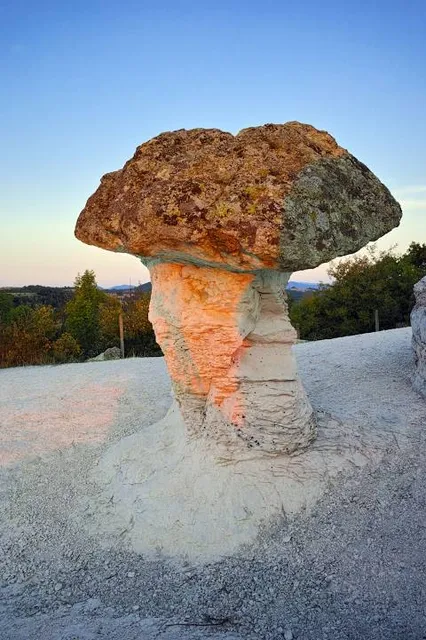 Mushroom Rocks