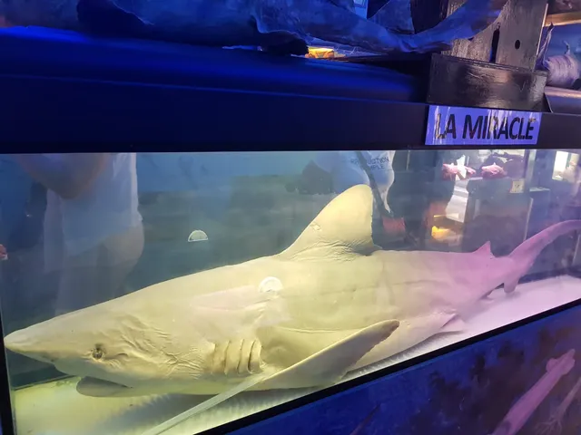 Museu El Cau del Tauro