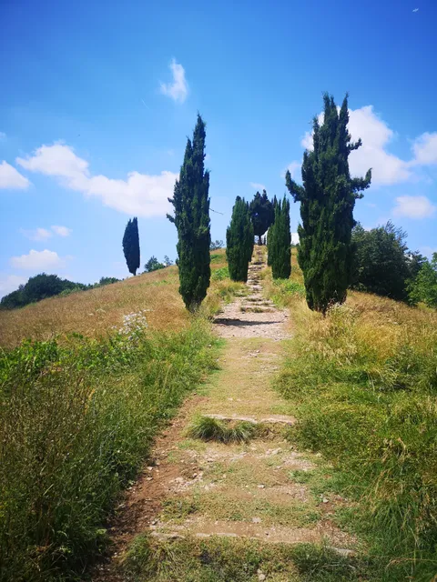Collina dei cipressi