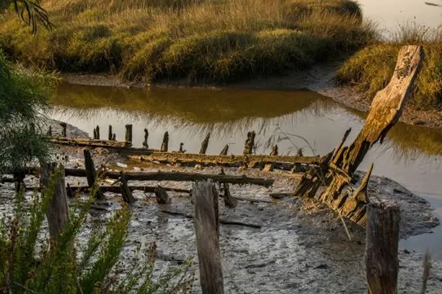 Lincolnshire Wildlife Park