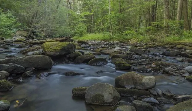 Reeds Gap State Park