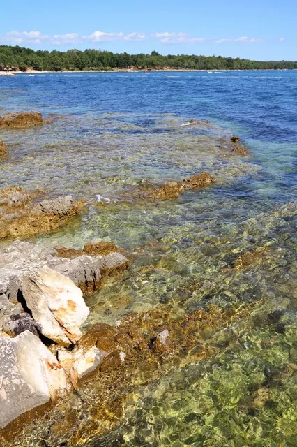 Porec Zelena Laguna