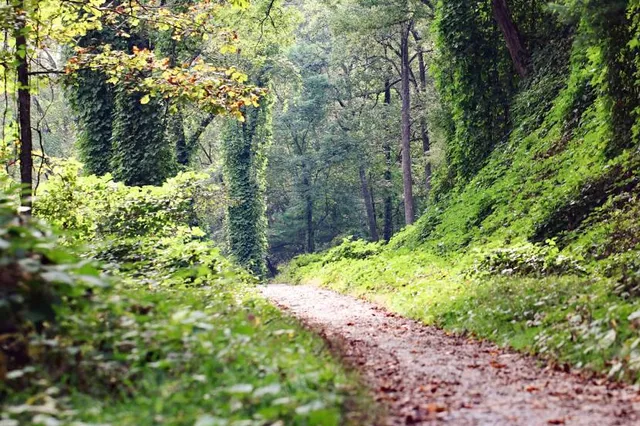 Hard Times Trailhead