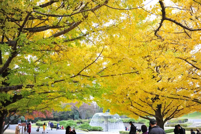 Momijiba Memorial Park