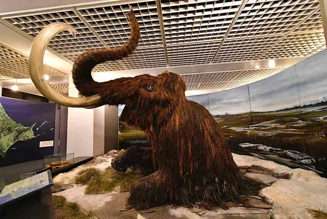 Obihiro Centennial Museum