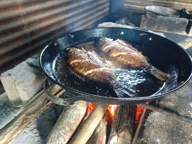 PALAPA "BELLI" (Don seba)