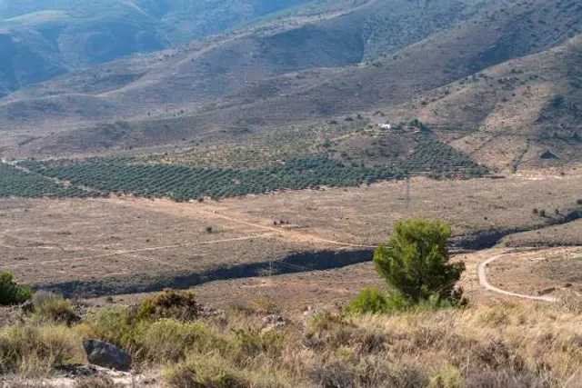 Cerro Pan de Azucar - Cordoba