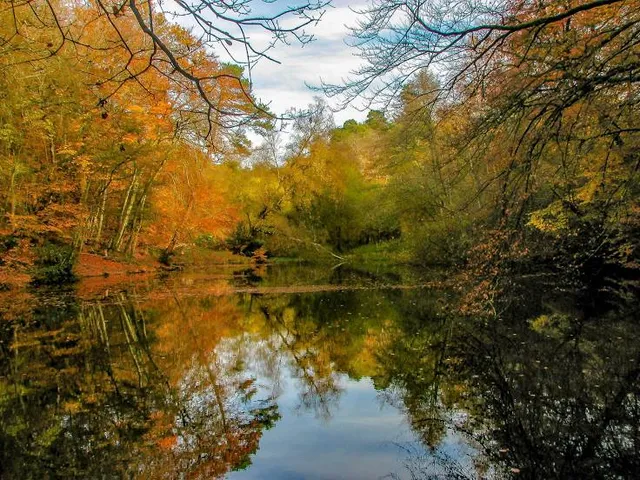 Ludshott Common and Waggoners Wells