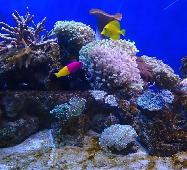 Shui Wang Aquarium Center