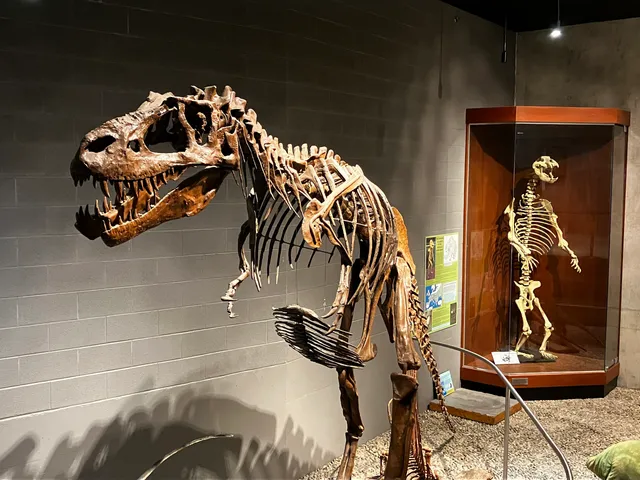 Earth Sciences Museum