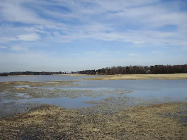 Vanhankaupunginselkä