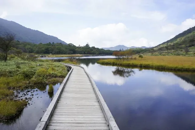 Torii Toge Viewpoint