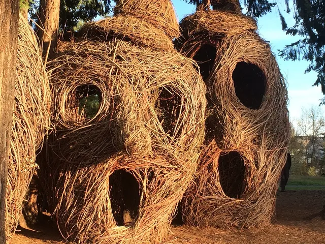 Orenco Woods Nature Park