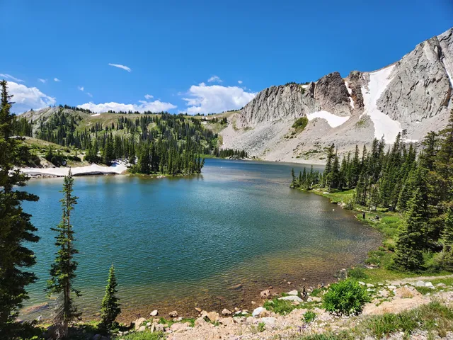 Medicine Bow-Routt National Forest