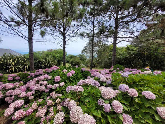 Barrancas de la Pedrera