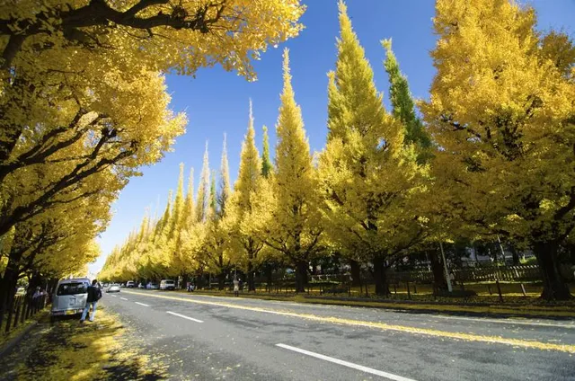 Seitoku Memorial Art Gallery