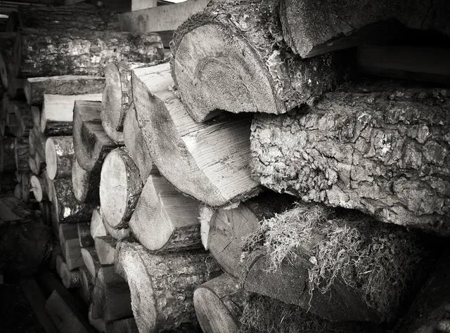 Shidami Kofungun Experience Museum