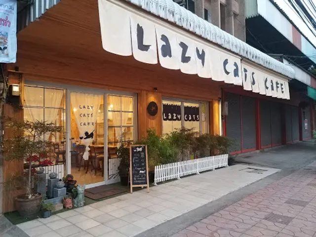 Lazy cats cafe’kan