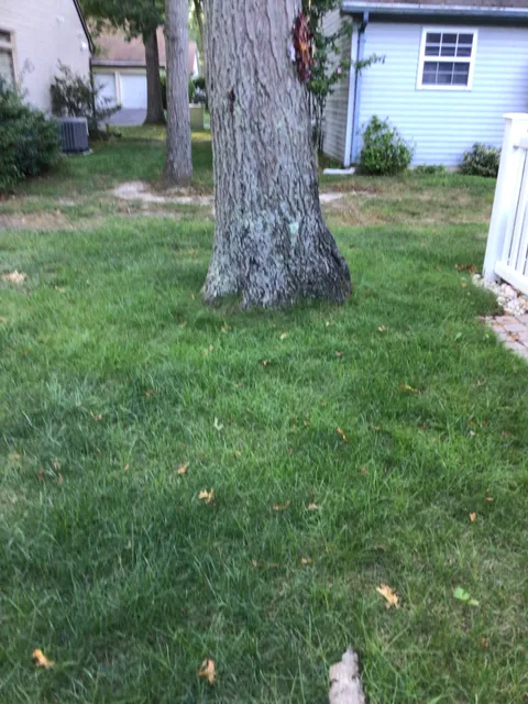 Live Oak Landscape Contractors Inc