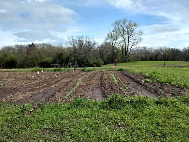 Bowling Green Park and Community Garden