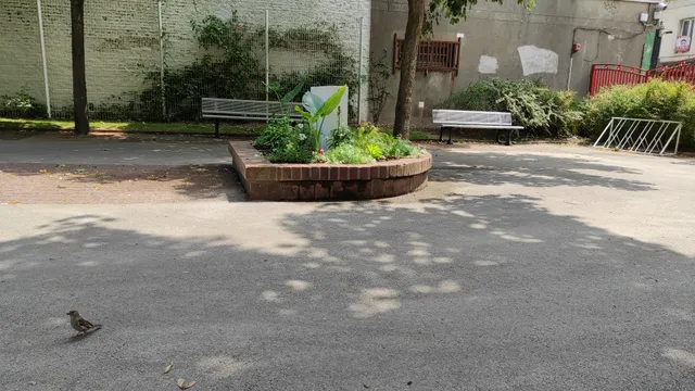 Square Claude Duffit