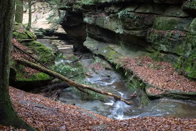 Big Sugar Creek State Park