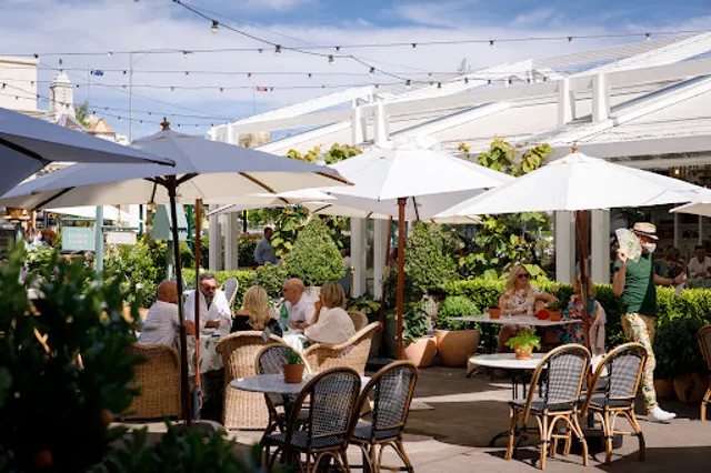 The Commons Collective