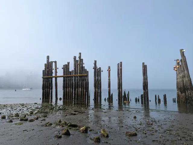 Point Shilshole Beach
