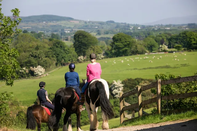 City Of Derry Farm and Equestrian Centre
